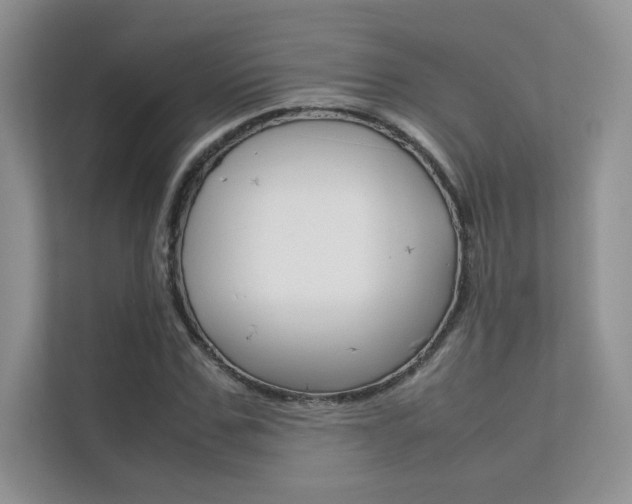 X0000112400971200908141002