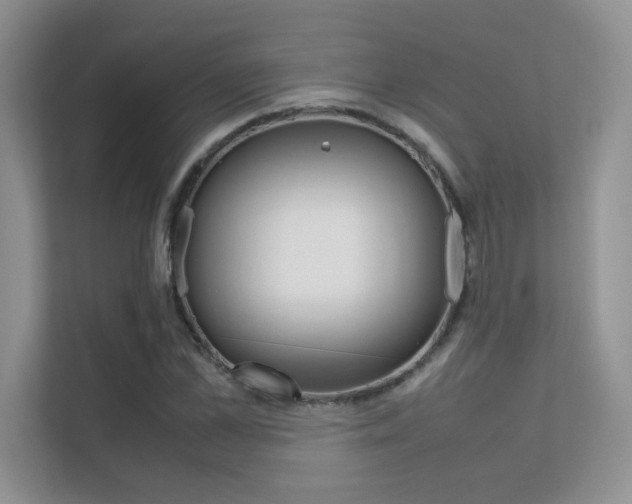 X0000112400973200908141002