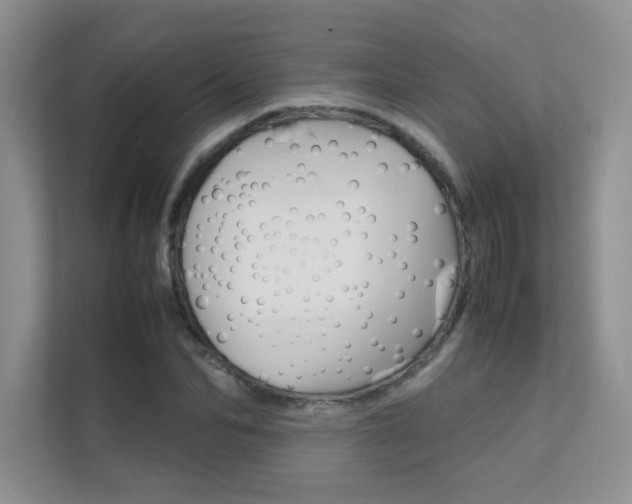 X0000112400974200908141002