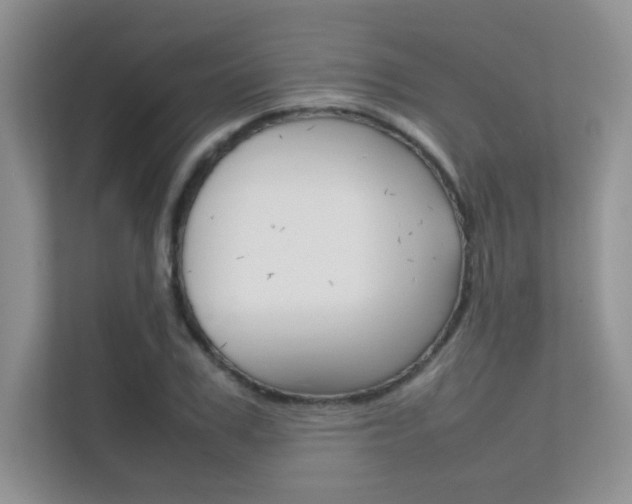 X0000112400979200908141002