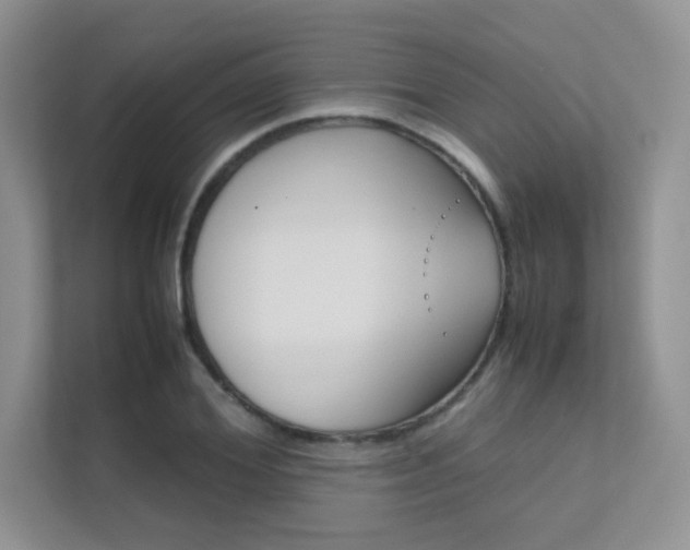X0000112400980200908141002