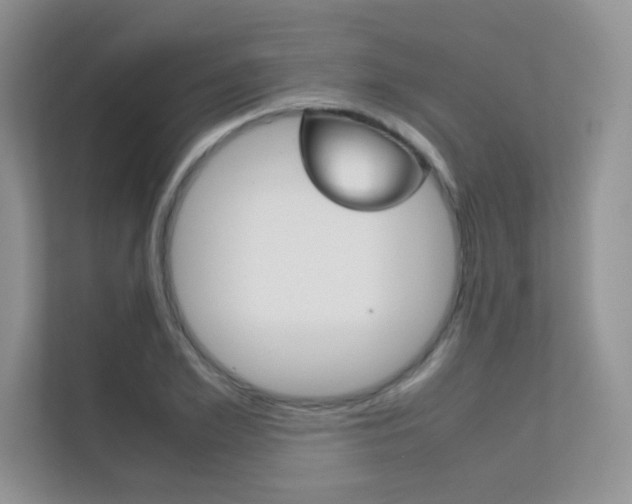 X0000112400981200908141002