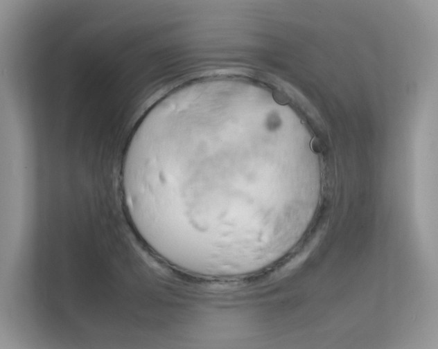 X0000112400985200908141002