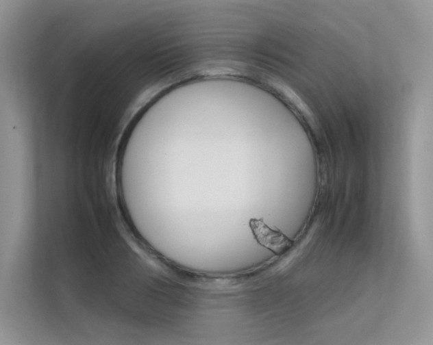 X0000112400986200908141002