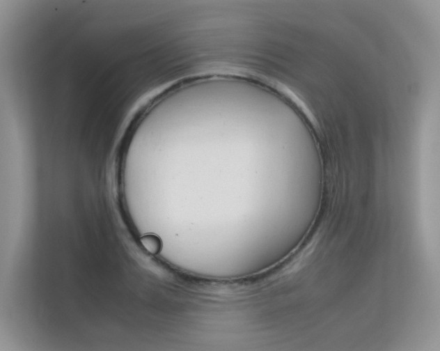 X0000112400987200908141002