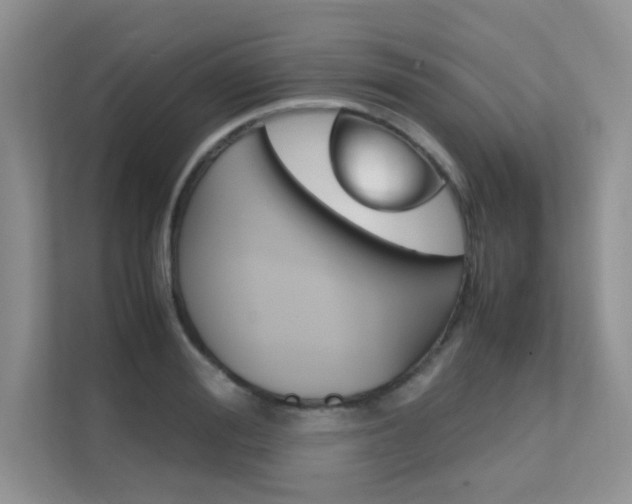X0000112400988200908141002