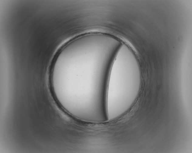 X0000112400991200908141002