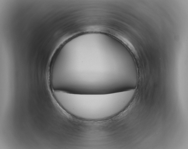 X0000112400992200908141002