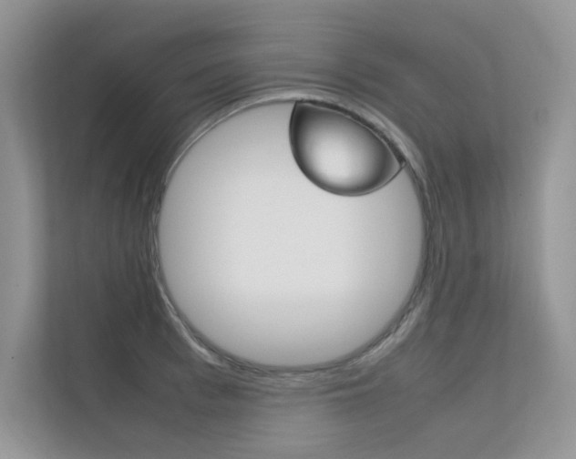 X0000112400993200908141002