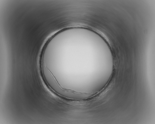 X0000112400995200908141002