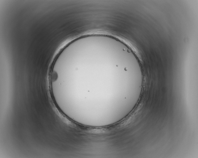 X0000112400998200908141001