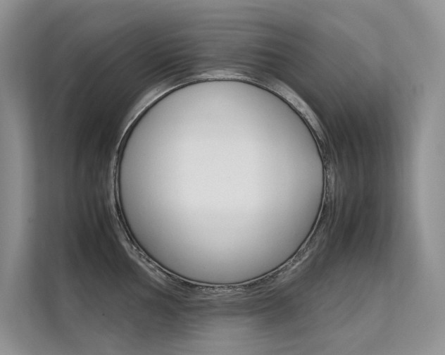 X0000112401002200908141001