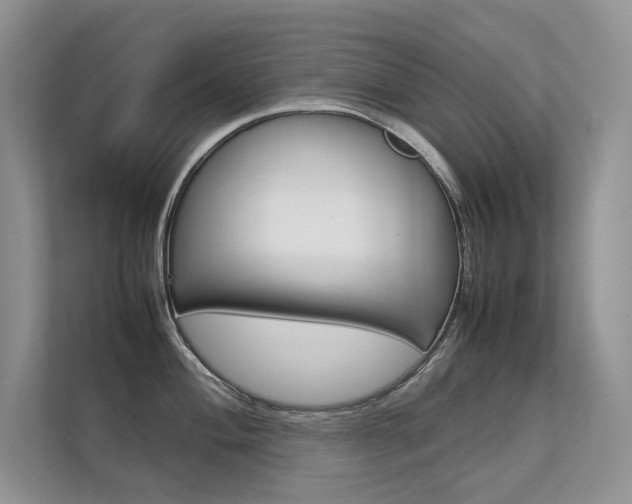 X0000112401004200908141001