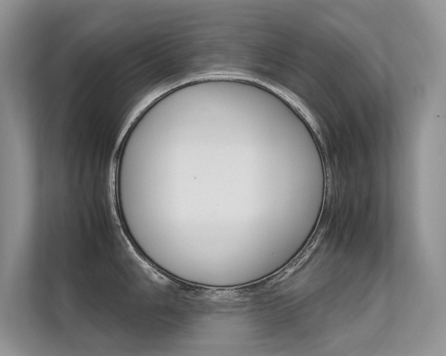 X0000112401006200908141001