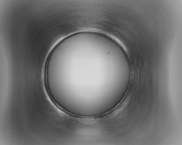 X0000112401007200908141001