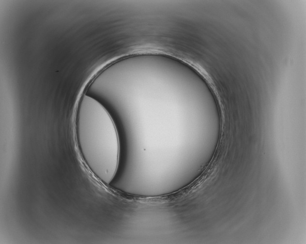 X0000112401008200908141001