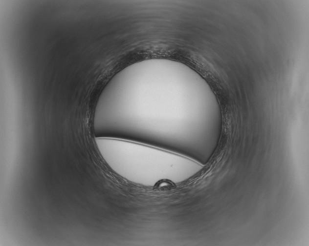 X0000112401010200908141001