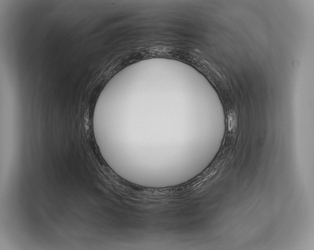 X0000112401011200908141001