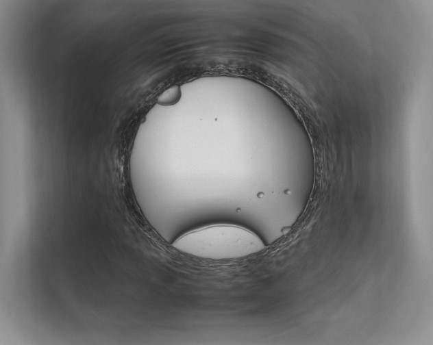 X0000112401013200908141001