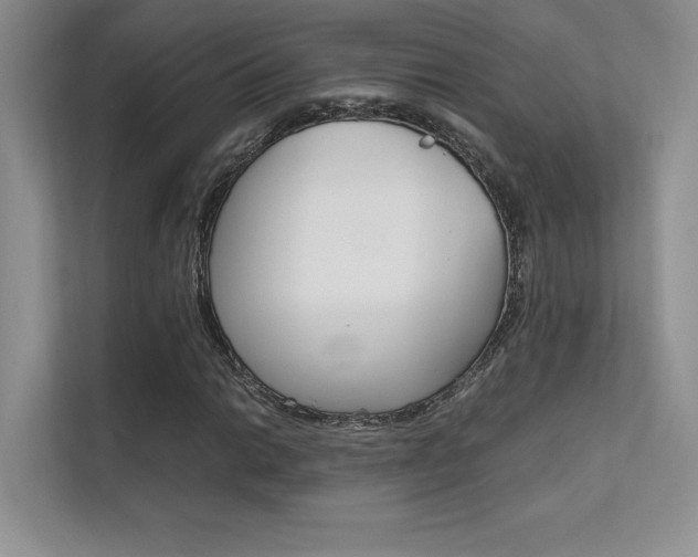 X0000112401014200908141001