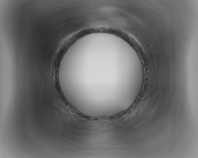 X0000112401016200908141001
