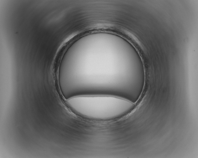 X0000112401018200908141001
