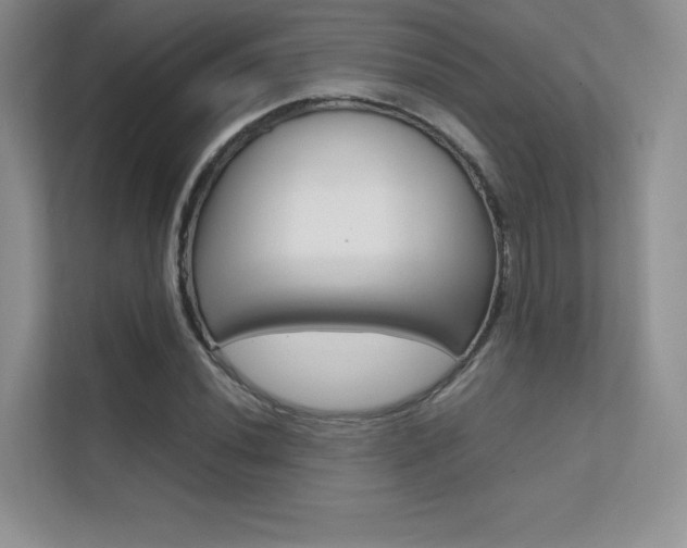 X0000112401020200908141001