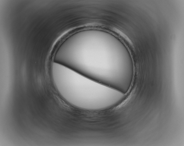 X0000112401021200908141001
