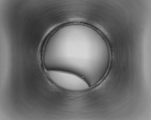 X0000112401022200908141001