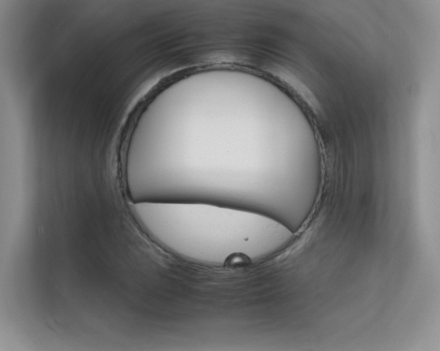 X0000112401023200908141001