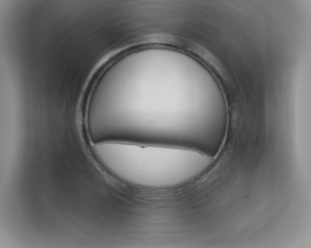 X0000112401024200908141001
