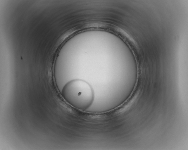 X0000112401025200908141001
