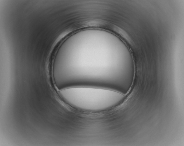 X0000112401026200908141001