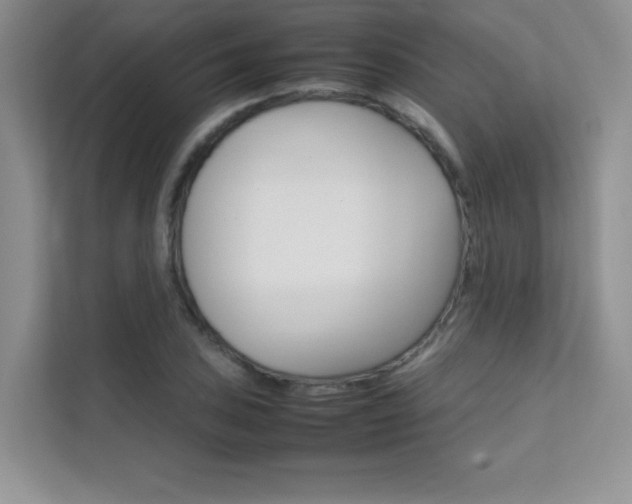 X0000112401027200908141001