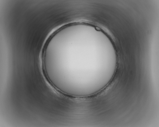 X0000112401032200908141001