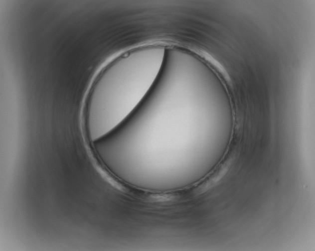X0000112401037200908141001