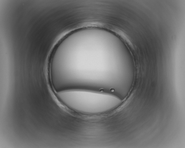X0000112401038200908141001
