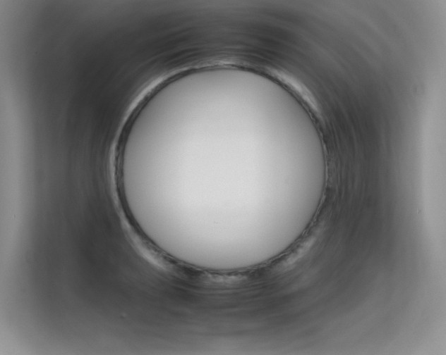 X0000112401039200908141001