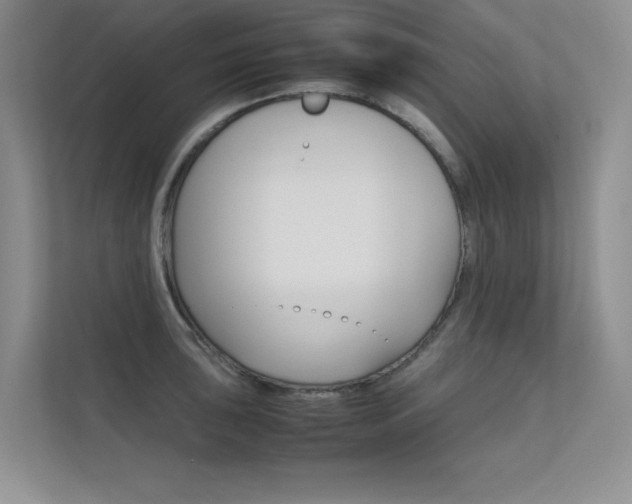 X0000112401043200908141001