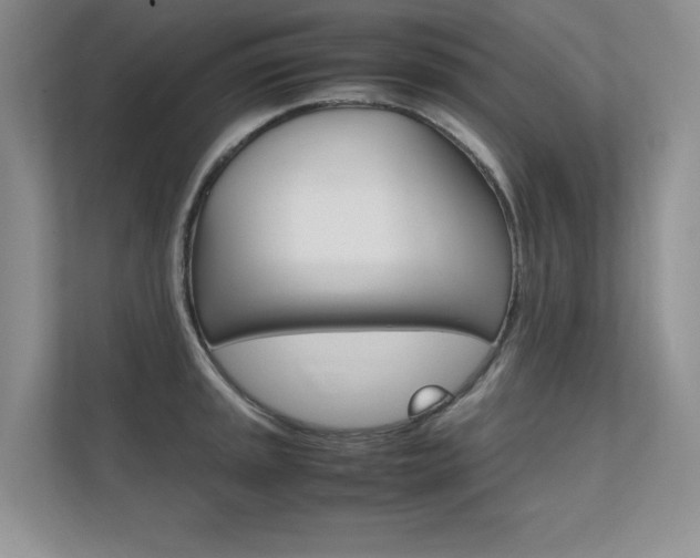 X0000112401045200908141001