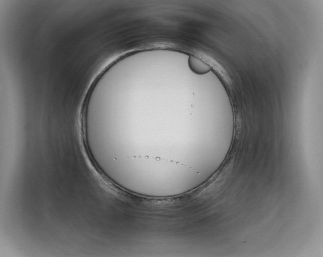 X0000112401047200908141001