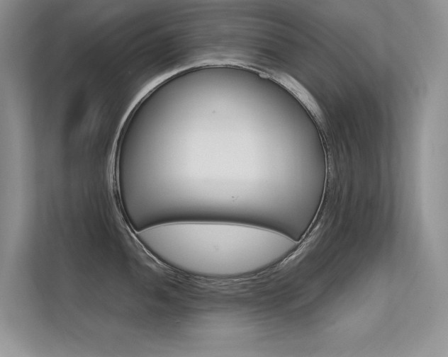 X0000112401052200908141001