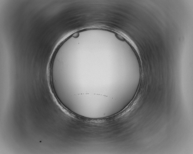 X0000112401053200908141001