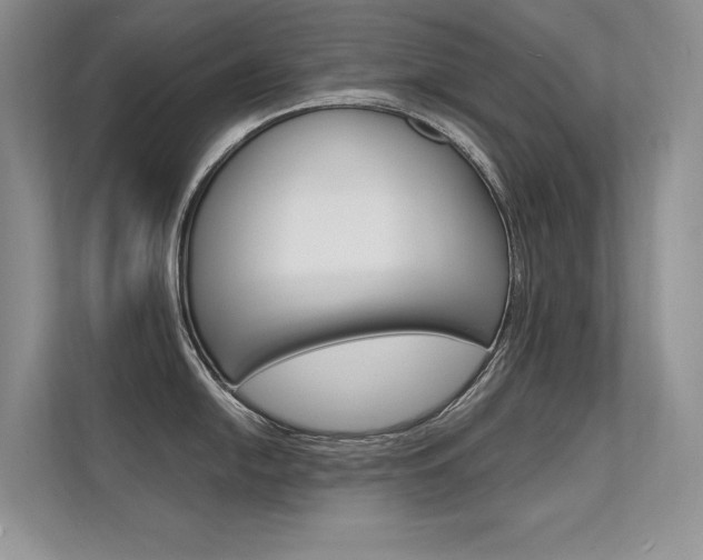 X0000112401054200908141001