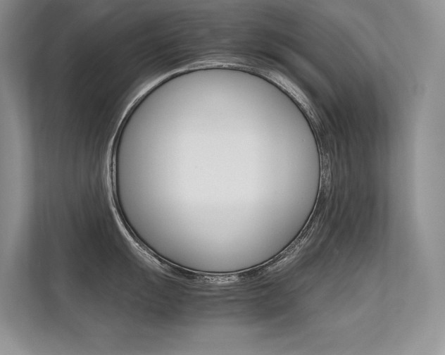 X0000112401055200908141001