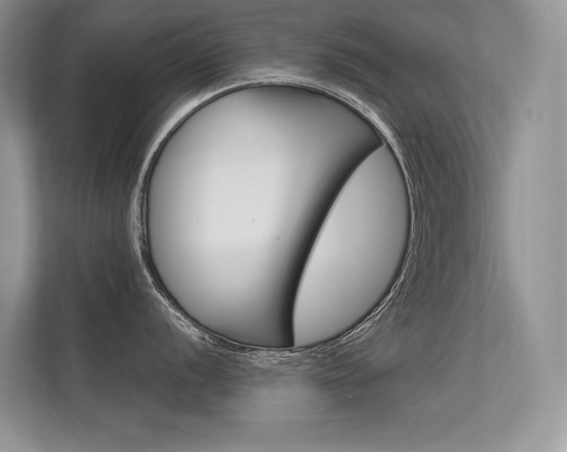 X0000112401056200908141001