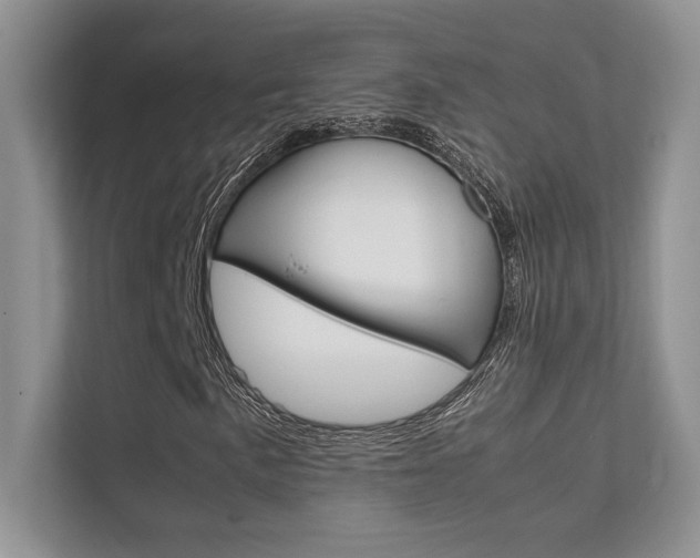 X0000112401057200908141001