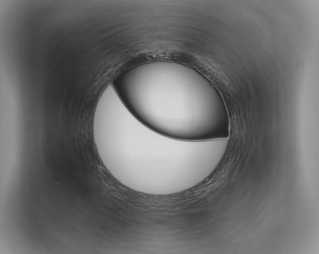 X0000112401060200908141001