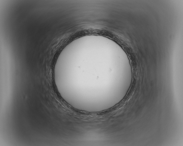 X0000112401061200908141001