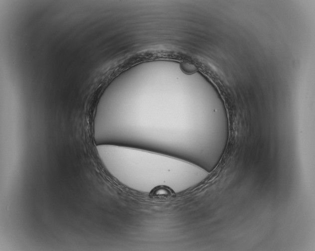 X0000112401062200908141001
